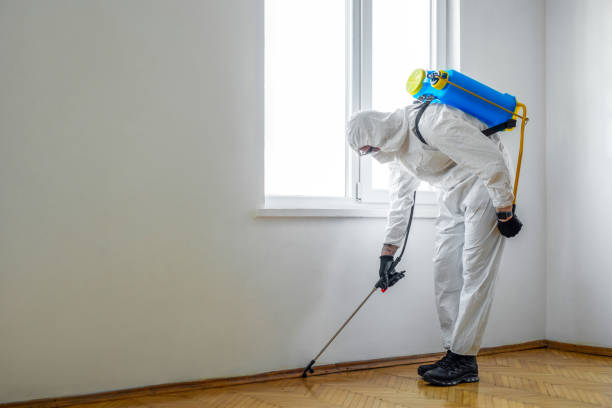 Indoor Pest Control in Goodyear, AZ